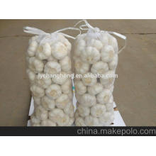 Pure white garlic price in China